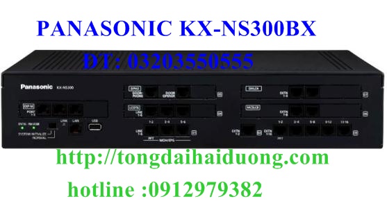 tong-dai-panasonic-kx-ns300